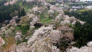 施設の敷地 / 17