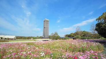 シティ ビュー / 12