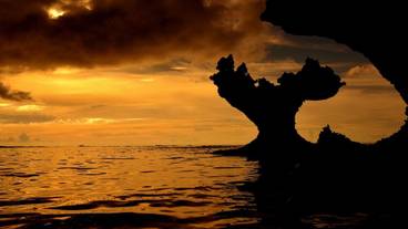 ランド ビュー / 11