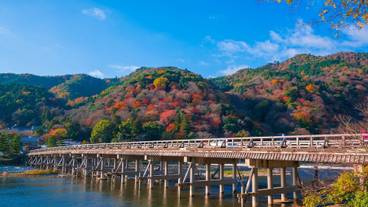 ランド ビュー / 34