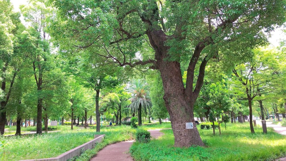 子供用の遊び場 - 屋外