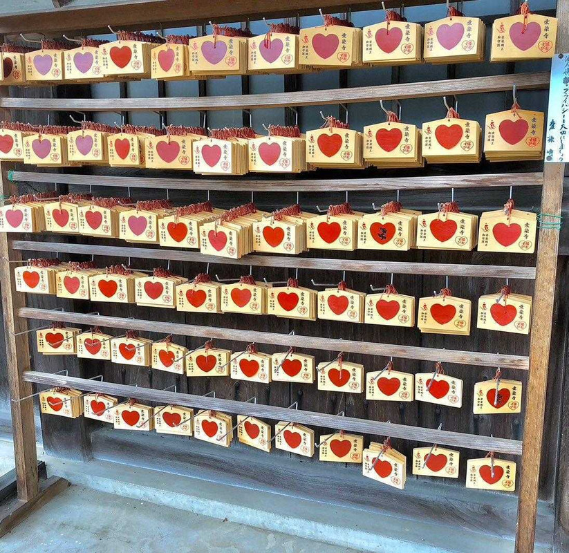 kn.pkmsさんの写真 / 2