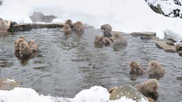 観光スポット / 10