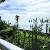 さいとう宿場（長崎県 ゲストハウス・ホステル・ドミトリー） / 5