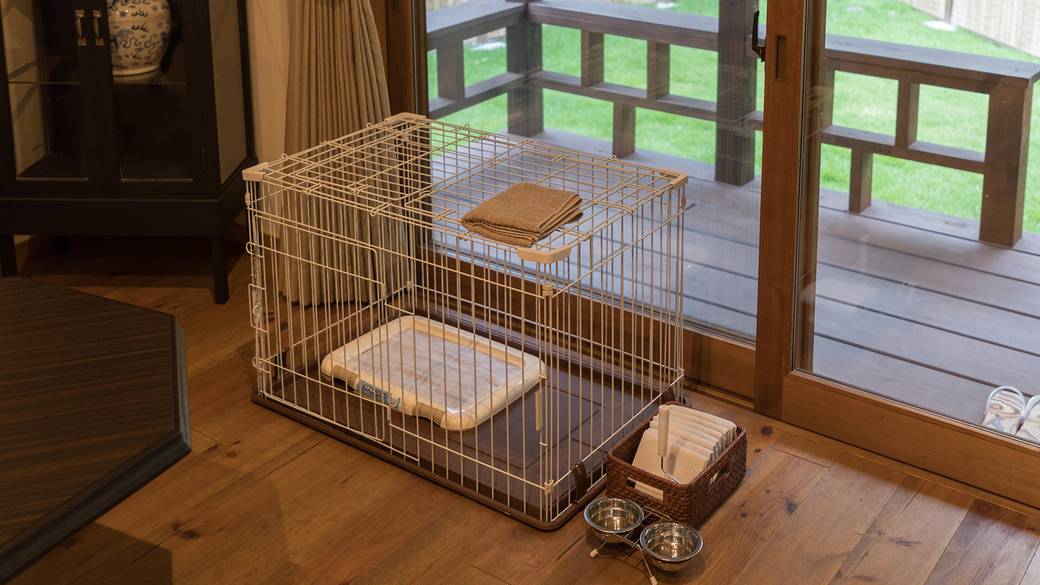 広い敷地のドッグラン
愛犬とかけっこ♪ / 3