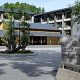 樹齢約400年の北山杉 / 1