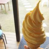 バレンシア畑(バレンシアバタケ)