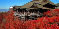 京都「清水寺」の紅葉！おすすめの楽しみ方・見頃・ライトアップも♪