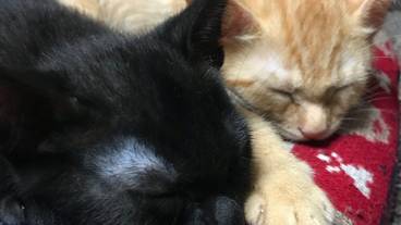 施設内の設備 / 8