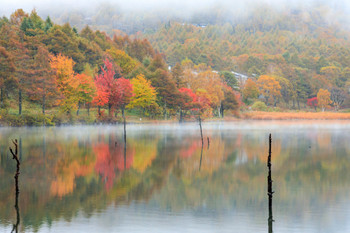 goddess lake