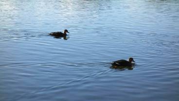 施設からの眺望 / 15