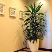 ホテルエスプル名古屋栄（愛知県 ビジネスホテル） / 2