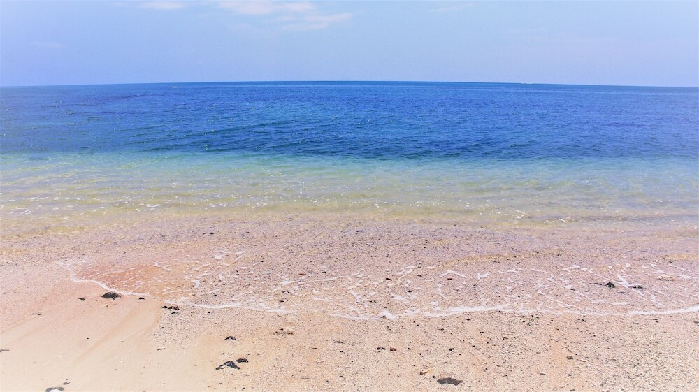 施設からの眺望