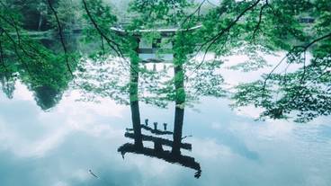 ランド ビュー / 19