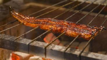 うなぎ四代目菊川 / 2