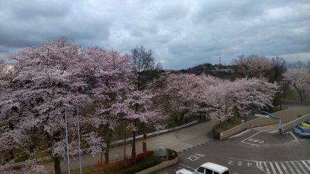 亀の井ホテル 福井（福井県 旅館） / 1