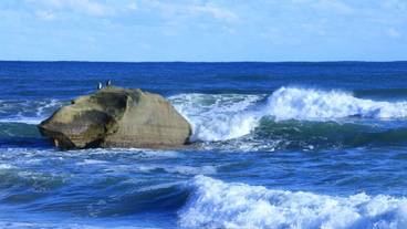 ビーチ / オーシャン ビュー / 23