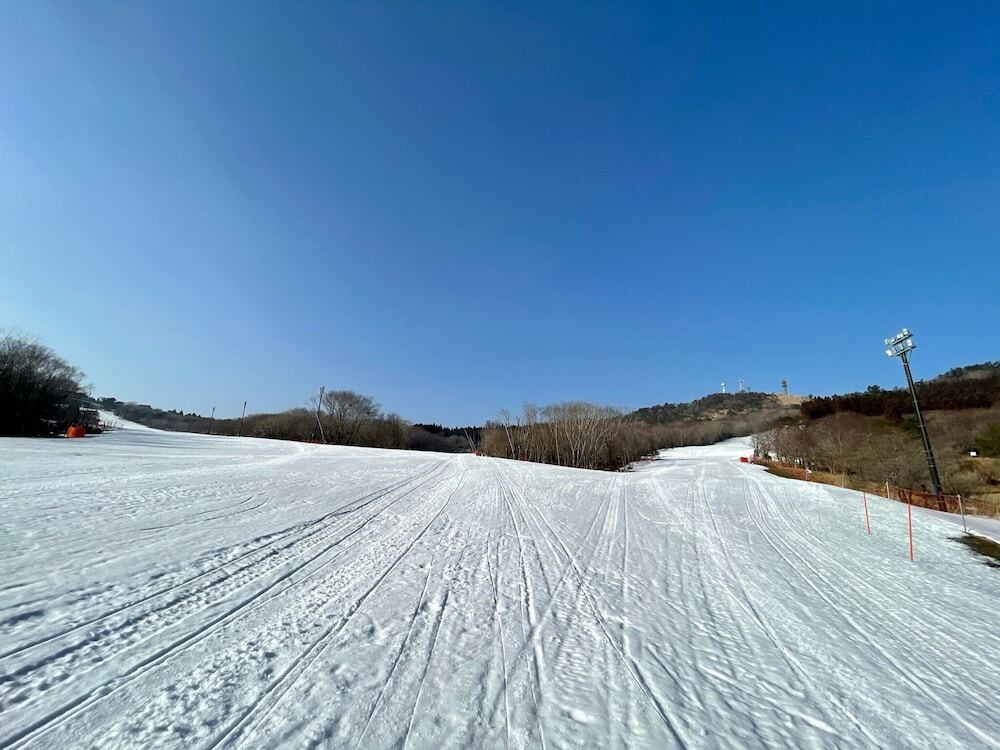 スノー スポーツとスキー