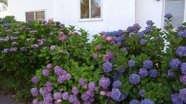 施設の敷地 / 28