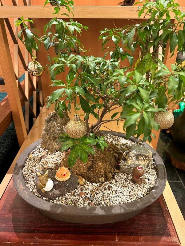 ks47travelさんの写真 / 2