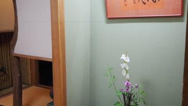 リビング エリア / 7