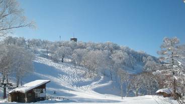 マウンテン ビュー / 21