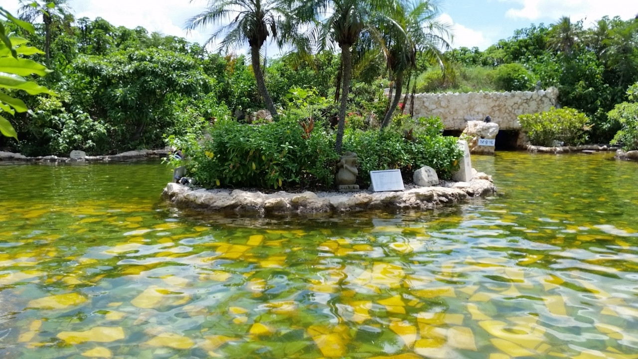 世界各国のおいしい料理が100種類以上！”旅する朝食”で世界旅行気分♪3494781