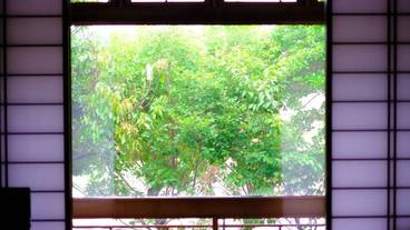 部屋からの景観 / 32