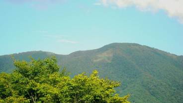 マウンテン ビュー / 10