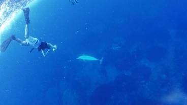 フィットネス設備 / 4