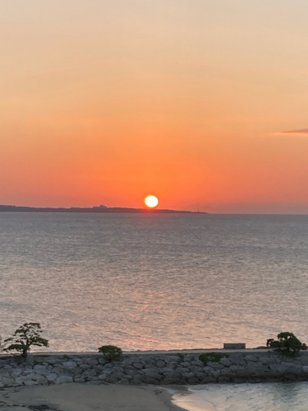 お部屋からず~っとみてました。