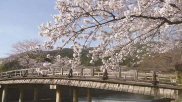 観光スポット / 9