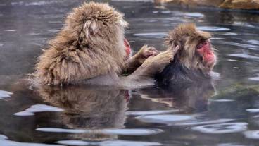 観光スポット / 19