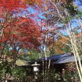 やすらぎの別邸 四季亭（山梨県 コテージ・ロッジ・一棟貸） / 3