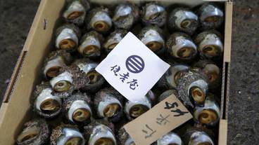 ギフト ショップ / 5