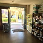 軽井沢 ホテルパイプのけむり（長野県 リゾートホテル） / 3