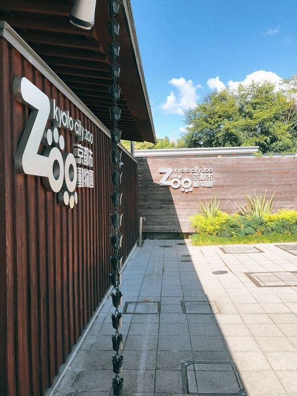 「京都市動物園」は、日本でゴリラが見られる動物園6軒のうちの1軒（2021年12月現在）。広さは約4.1ヘクタールとコンパクトなため、子連れでも周りやすいのが嬉しい / 1