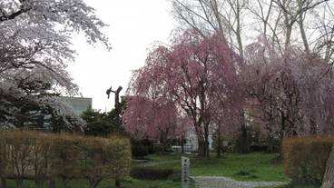 施設からの眺望 / 23