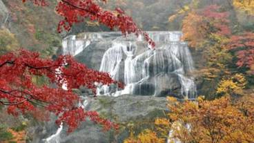 施設の敷地 / 17