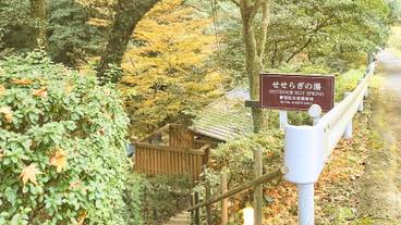 温泉 / 24
