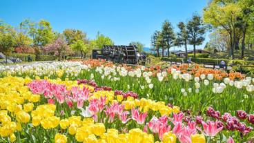 観光スポット / 5