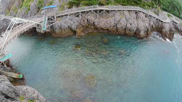 ランド ビュー / 33