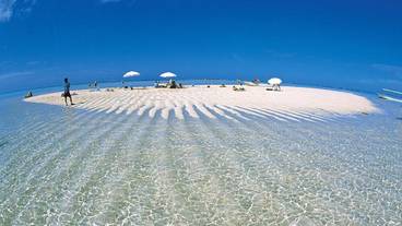 ランド ビュー / 21