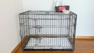 Cottage (capacity 4) with private dog run