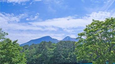 施設からの眺望 / 29