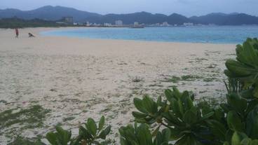 施設からの眺望 / 20