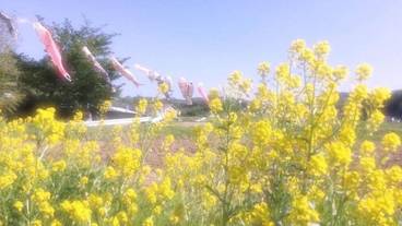 施設の敷地 / 21