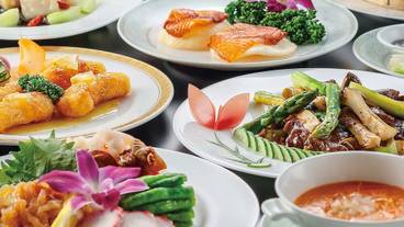 食事・飲み物 / 13