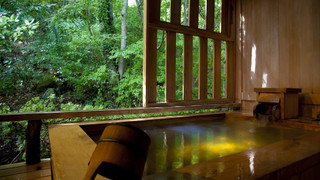 ジュニアスイート