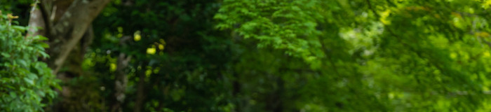 女子旅におすすめしたい！山口の気分が上がるホテル＆宿6選